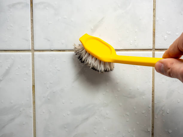 Best Black Mold Remediation in Arcadia, FL