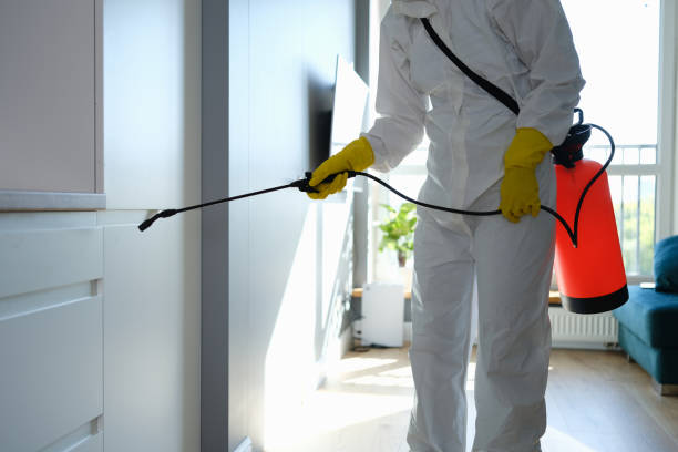 Best Residential Mold Remediation in Arcadia, FL